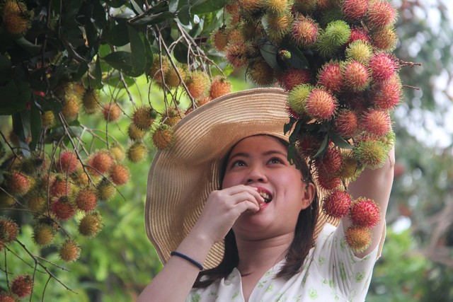 Về Long Khánh ăn chôm chôm miễn phí trong “Lễ hội trái cây 2023” - Ảnh 7.