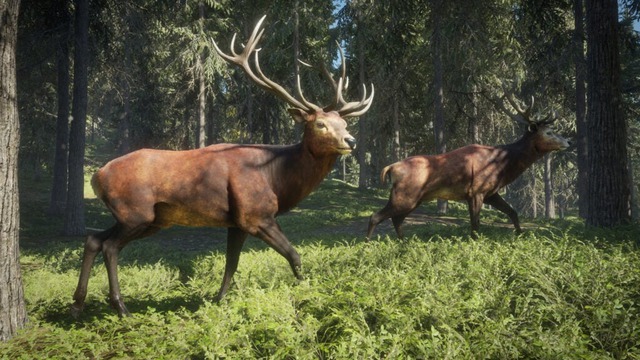 Epic Games Store sắp tặng miễn phí một tựa game săn bắn nổi tiếng - Ảnh 1.