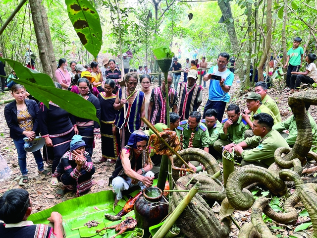Huyện Ia Grai bảo vệ rừng gắn với văn hóa tín ngưỡng - Ảnh 1.