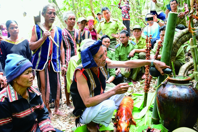 Huyện Ia Grai bảo vệ rừng gắn với văn hóa tín ngưỡng - Ảnh 2.