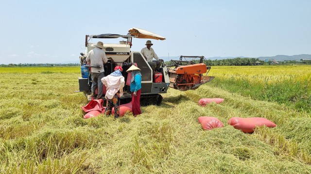 Tươi xanh trên bình nguyên   - Ảnh 1.