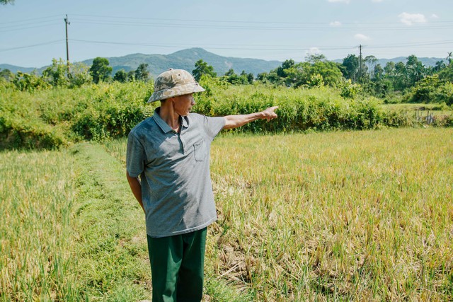 Hạn hán, nhiều xã vùng cao Quảng Bình nguy cơ thiếu nước sinh hoạt, mất mùa màng - Ảnh 4.