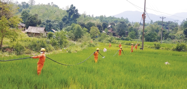 Công ty điện lực Quảng Trị nỗ lực không ngừng vì sự hài lòng của khách hàng - Ảnh 2.