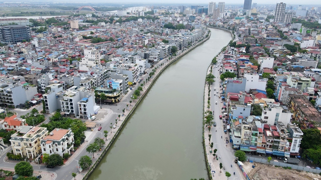 Hải Phòng: Nước sông Tam Bạc ô nhiễm, đàn thiên nga 200 chết, còn 5 con - Ảnh 3.