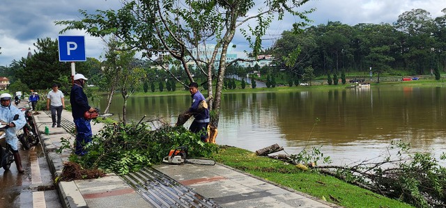 Vì sao Đà Lạt ngập lụt nặng sau mưa lớn? - Ảnh 5.