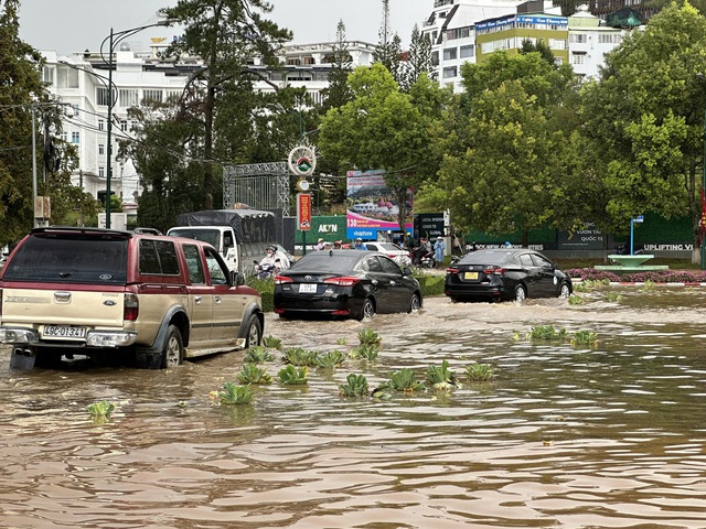 Đà Lạt mưa lớn gây ngập lụt nhiều khu vực  - Ảnh 3.