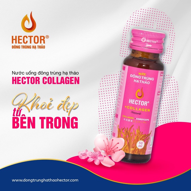 Top 3 collagen đang được tìm mua hiện nay - Ảnh 4.