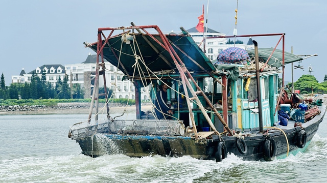 Quảng Ninh: Yêu cầu xử lý nghiêm tàu cá khai thác thủy sản bất hợp pháp  - Ảnh 2.