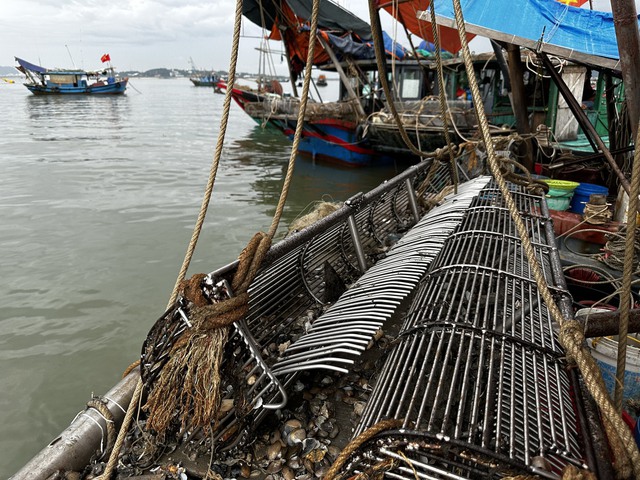 Biên phòng Quảng Ninh đồng loạt bắt giữ 'hung thần đại dương'
 - Ảnh 2.