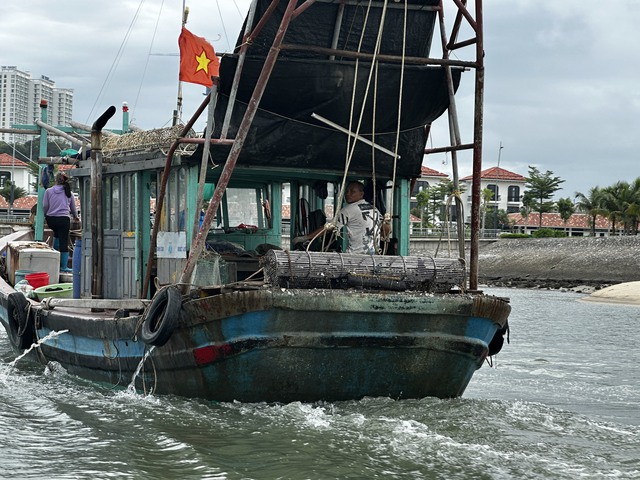 Quảng Ninh bắt giữ 'hung thần đại dương' tàn sát vịnh Hạ Long  - Ảnh 2.