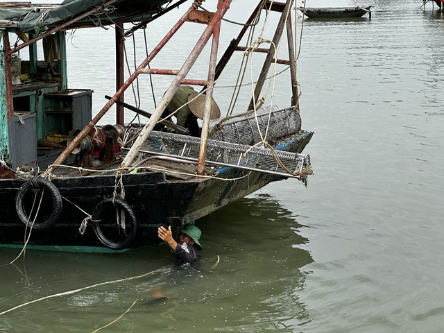 Quảng Ninh: Yêu cầu xử lý nghiêm tàu cá khai thác thủy sản bất hợp pháp  - Ảnh 1.