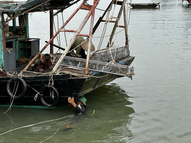 Hùng thần đại dương tàn sát vịnh Hạ Long lực lượng lại bị 'bịt mắt' - Ảnh 12.