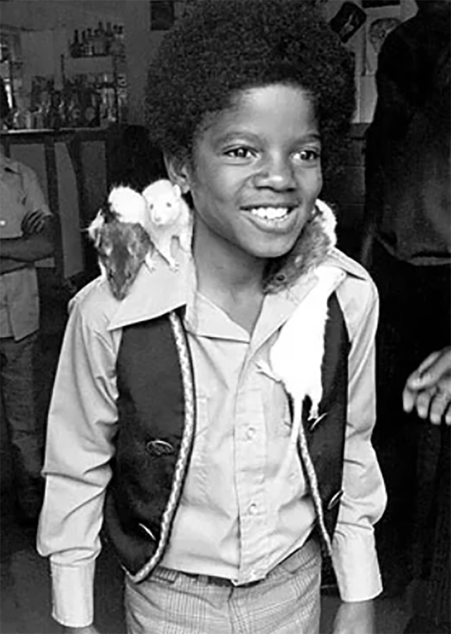 Looking back at Michael Jackson's life 14 years after his death - Photo 4.