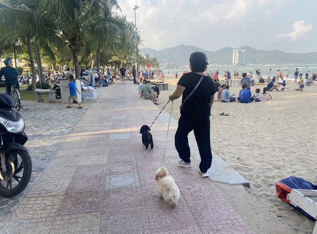 Nha Trang cấm mang động vật nuôi đi dạo ở công viên bờ biển, tắm biển - Ảnh 3.