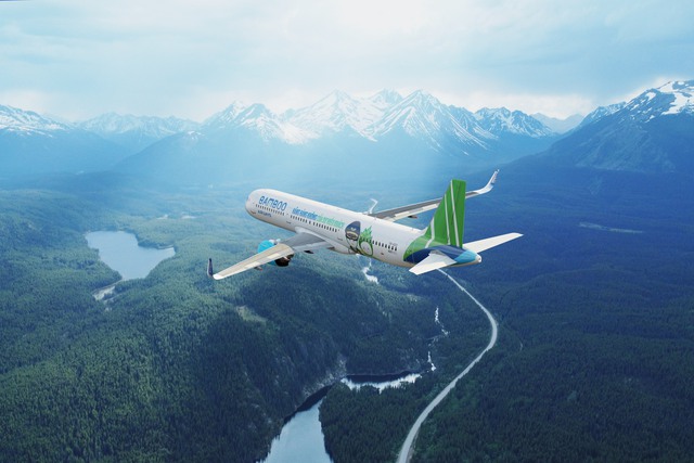 Chủ tịch Bamboo Airways: Đẩy mạnh hợp tác quốc tế để tăng trưởng nhanh hơn - Ảnh 2.