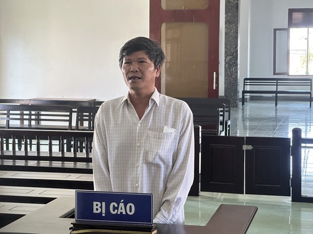 Phú Yên: Bị phạt tù vì không giao nộp súng đạn nhặt được - Ảnh 1.