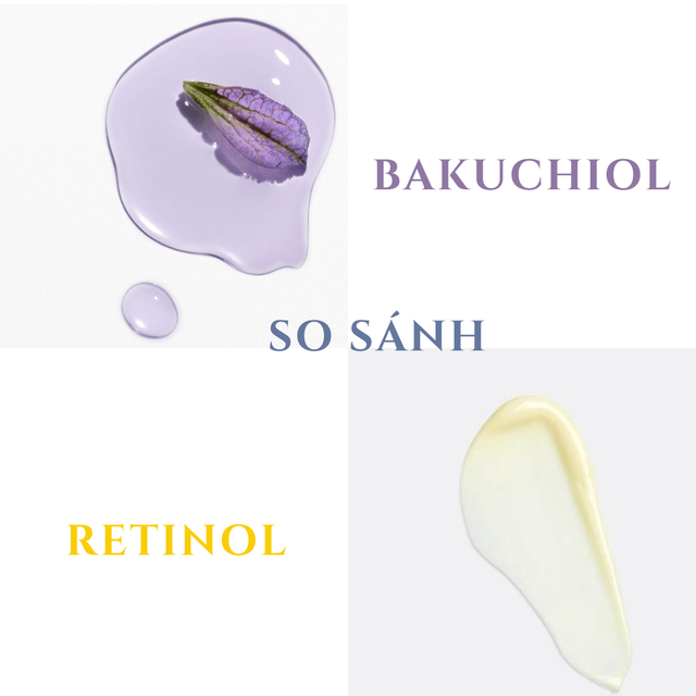 Điều gì sẽ xảy ra khi 2 hoạt chất vàng ‘Retinol kết hợp với Bakuchiol’? - Ảnh 2.