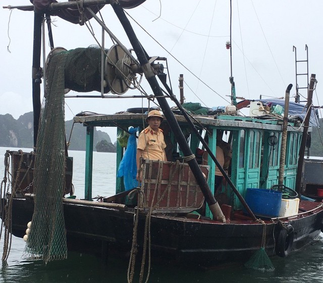 Quảng Ninh bắt giữ 'hung thần đại dương' tàn sát vịnh Hạ Long  - Ảnh 1.