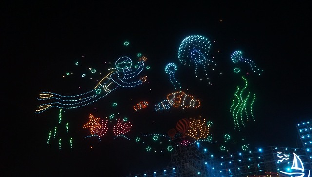 Bức tranh trên bầu trời đêm Nha Trang được vẽ bằng 1.653 chiếc Drone Light - Ảnh 8.