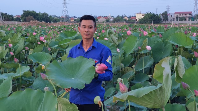 Anh nông dân bỏ xứ sở Bạch Dương, về quê Quảng Bình lập nghiệp từ hoa sen - Ảnh 1.