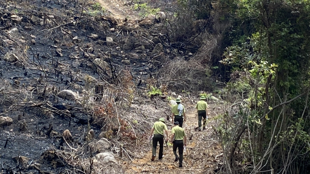 Quảng Ninh: Liên tiếp xảy ra cháy rừng khiến 2 người thiệt mạng  - Ảnh 1.