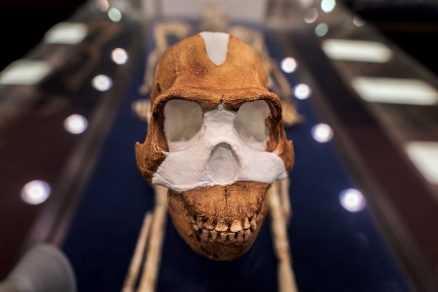 100.000 năm trước con người, loài này đã biết chôn cất đồng loại - Ảnh 2.