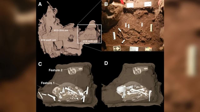 100.000 năm trước con người, loài này đã biết chôn cất đồng loại - Ảnh 3.
