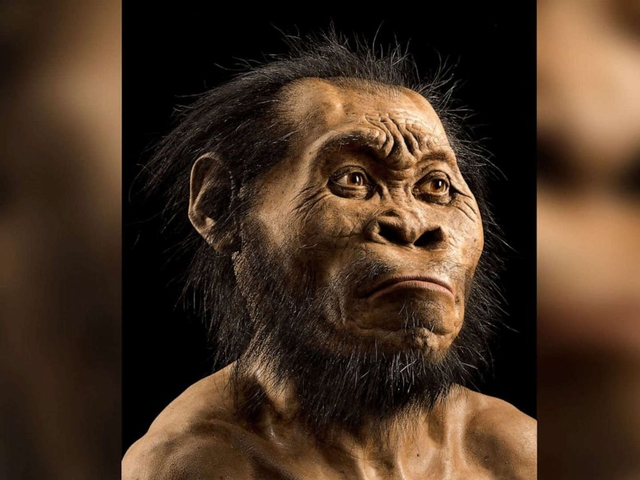100.000 năm trước con người, loài này đã biết chôn cất đồng loại - Ảnh 1.