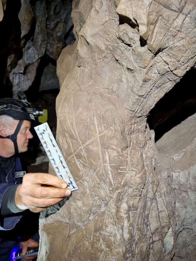 100.000 năm trước con người, loài này đã biết chôn cất đồng loại - Ảnh 4.