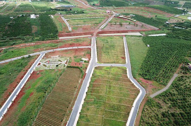 Lâm Đồng: Thanh tra việc cấp Giấy chứng nhận quyền sử dụng đất giai đọan 2020-2022 - Ảnh 1.