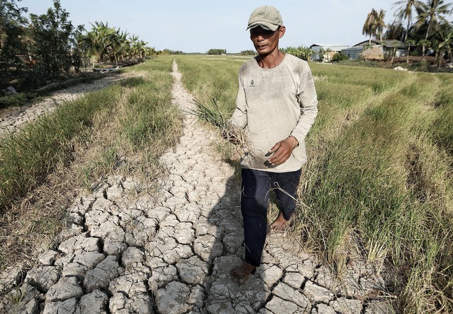 Hạ lưu sông Mekong đang khô hạn nhiều hơn so với bình thường - Ảnh 1.