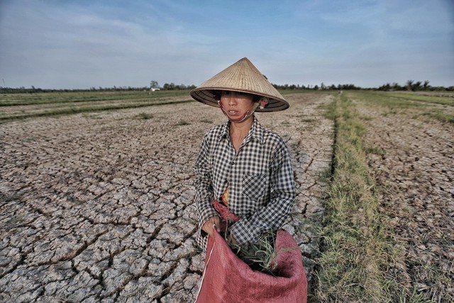 NOAA: El Nino đã xuất hiện - Ảnh 1.