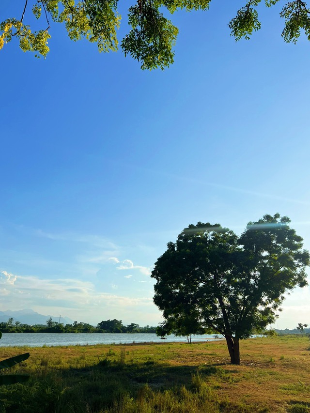 Theo chân hai travel blogger khám phá 'cây tình yêu' độc lạ ở Quảng Nam - Ảnh 5.