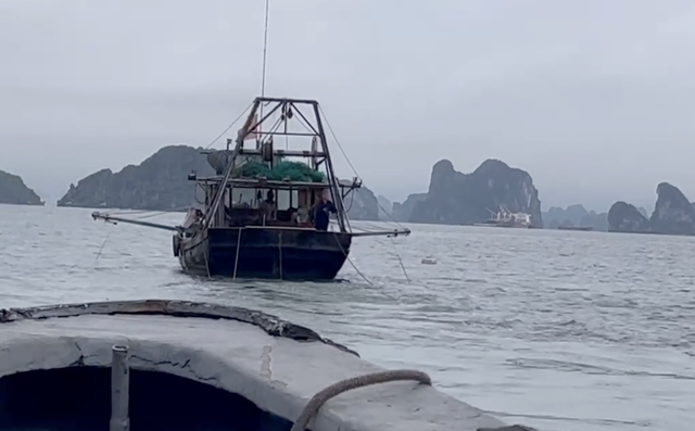 Biên phòng Quảng Ninh đồng loạt bắt giữ 'hung thần đại dương'
 - Ảnh 1.