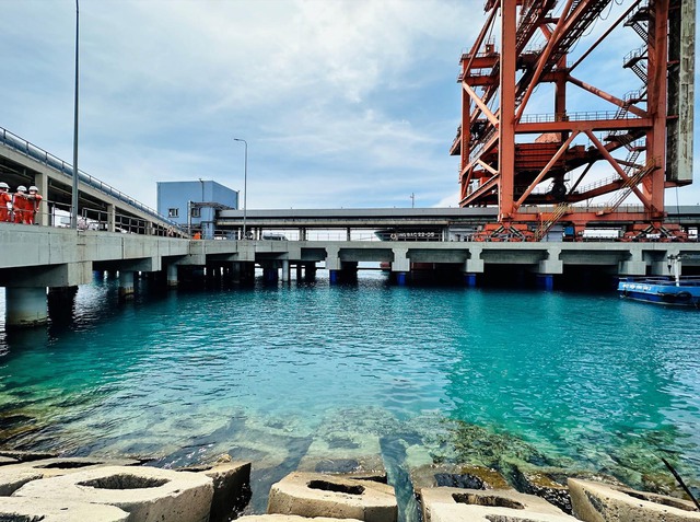 Các rạn san hô đang sinh trưởng tại cảng than Nhà máy Nhiệt điện Vĩnh Tân 2