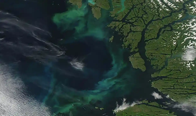 Biến đổi khí hậu đang làm đổi màu các đại dương của thế giới - Ảnh 1.