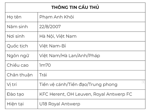 Phạm Anh Khôi - Tài năng gốc Việt của U.16F Bỉ   - Ảnh 7.