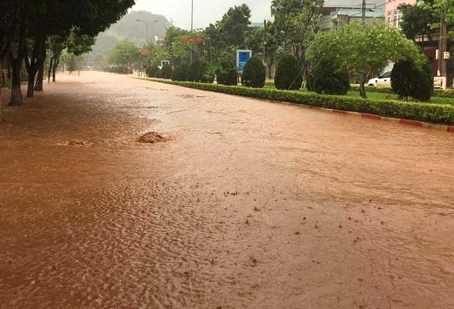 Sơn La: Mưa lớn gây ngập úng, cuốn trôi gia súc của người dân - Ảnh 1.