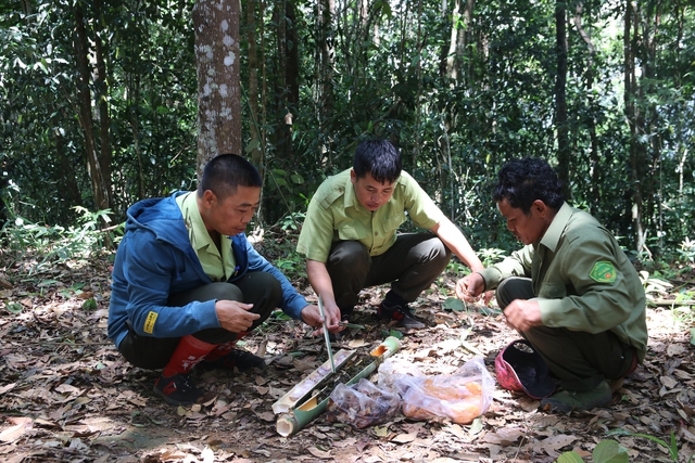 Giải cứu từ tay thợ săn, chú khỉ cụt chân được tái thả về rừng Tà Đùng - Ảnh 8.