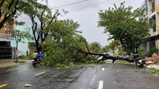 Cuối năm 2023 miền Trung, miền Nam có thể đón 2 - 4 cơn bão - Ảnh 1.