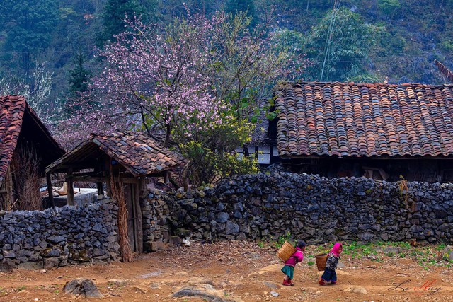 Thu phí tham quan di sản UNESCO: Làm đúng thì sao phải ngại ? - Ảnh 1.