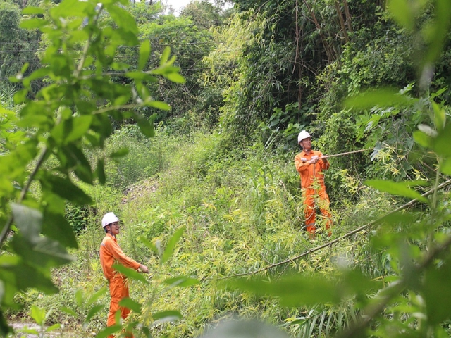 Tổng công ty Điện lực miền Bắc vượt nhiều chỉ tiêu kinh doanh 6 tháng đầu năm - Ảnh 3.