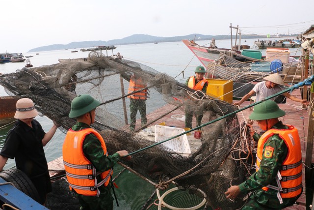 Vùng Đông Bắc căng mình ứng phó bão số 1 - Ảnh 1.