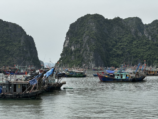 Ứng phó với bão số 1: Quảng Ninh cấm biển từ 15 giờ hôm nay   - Ảnh 1.