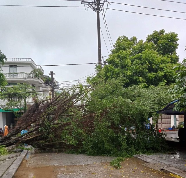 Quảng Ninh không để xảy ra thiệt hại về người bão số 1  - Ảnh 1.