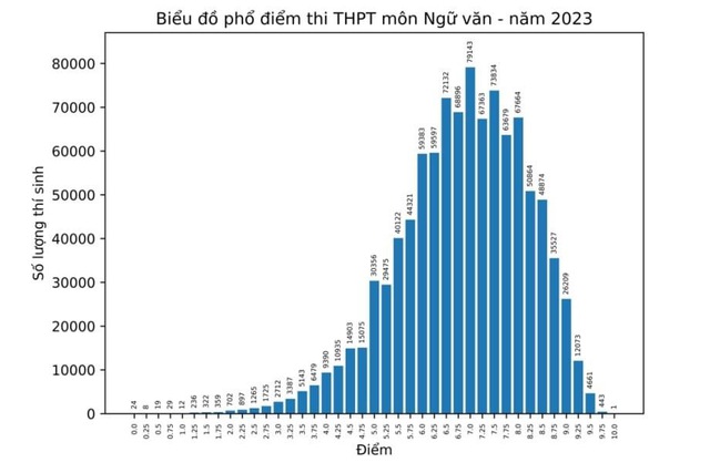 Điểm 10 môn ngữ văn duy nhất trong kỳ thi tốt nghiệp THPT - Ảnh 1.