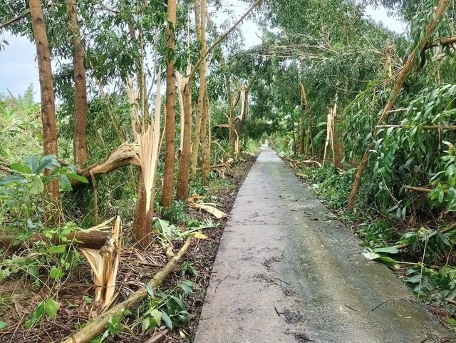 Cà Mau: ảnh hưởng bão số 1, 2 tàu cá với 11 ngư phủ bị chìm  - Ảnh 1.