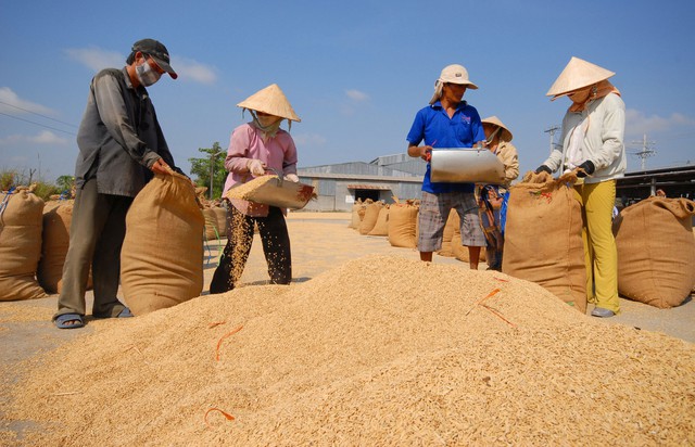 Cơ hội vàng cho gạo Việt  - Ảnh 1.