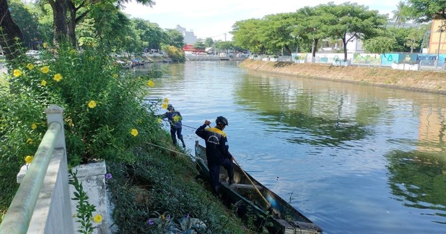 Đà Nẵng: Sau mưa, cá chết tiếp tục nổi dày trên mặt kênh, hồ - Ảnh 3.