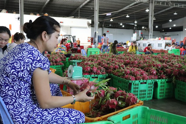 Bình Thuận: Đơn thư khiếu nại tố cáo liên quan đến đất đai có chiều hướng tăng - Ảnh 2.